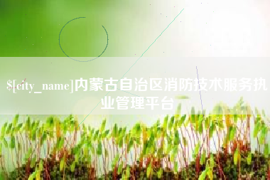 柳州内蒙古自治区消防技术服务执业管理平台
