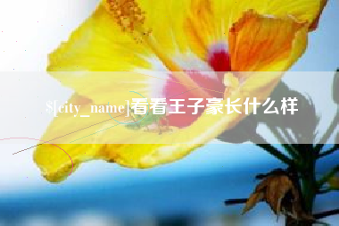 柳州看看王子豪长什么样