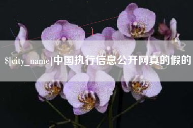 柳州中国执行信息公开网真的假的