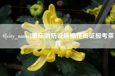 柳州重庆消防设施操作员证报考条件