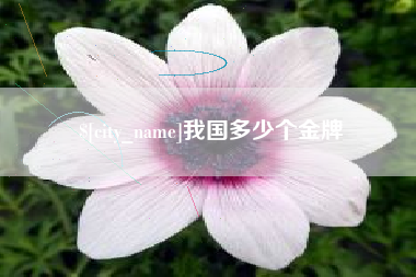 柳州我国多少个金牌
