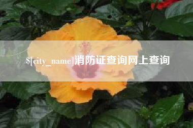 柳州消防证查询网上查询