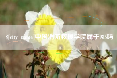 柳州中国消防救援学院属于985吗