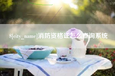 柳州消防资格证怎么查询系统