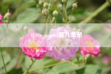 柳州第九金是