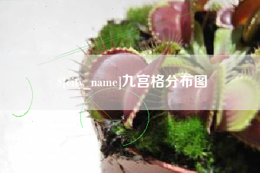 柳州九宫格分布图