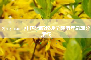 柳州中国消防救援学院历年录取分数线