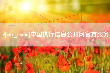 柳州中国执行信息公开网官方服务