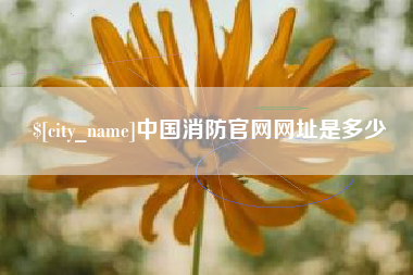 柳州中国消防官网网址是多少