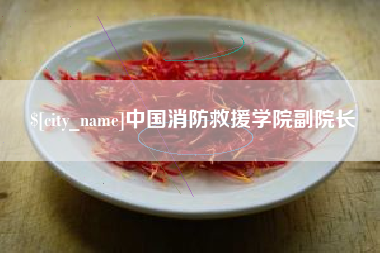 柳州中国消防救援学院副院长
