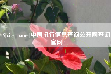 柳州中国执行信息查询公开网查询官网