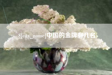 柳州中国的金牌有几名