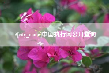 柳州中国执行网公开查询