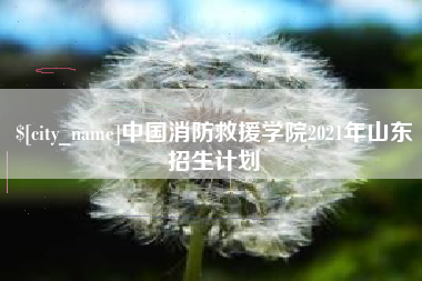 柳州中国消防救援学院2021年山东招生计划