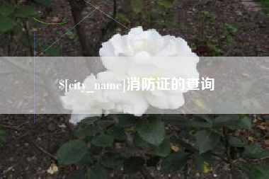 柳州消防证的查询