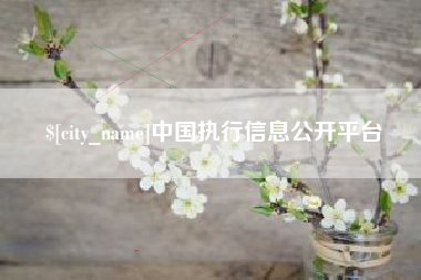 柳州中国执行信息公开平台
