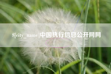 柳州中国执行信息公开网网