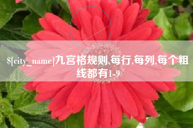 柳州九宫格规则,每行,每列,每个粗线都有1-9