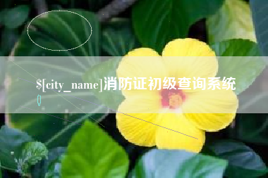 柳州消防证初级查询系统