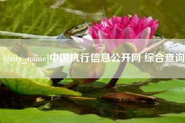 柳州中国执行信息公开网 综合查询