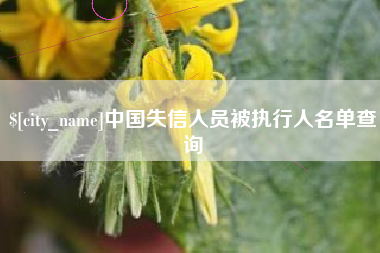 柳州中国失信人员被执行人名单查询
