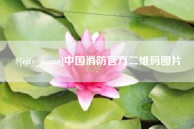柳州中国消防官方二维码图片