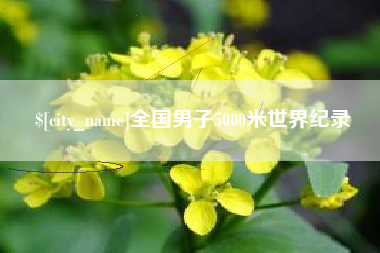 柳州全国男子5000米世界纪录