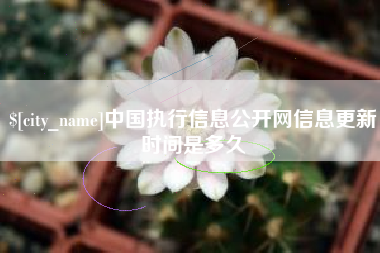 柳州中国执行信息公开网信息更新时间是多久