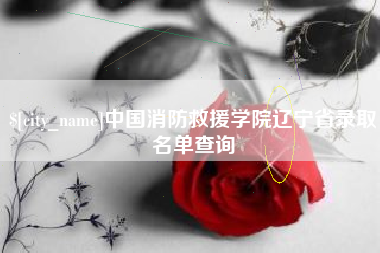 柳州中国消防救援学院辽宁省录取名单查询