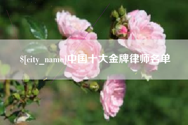 柳州中国十大金牌律师名单