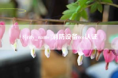 柳州消防设备ccc认证