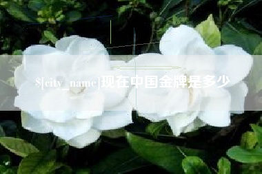 柳州现在中国金牌是多少