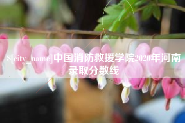 柳州中国消防救援学院2020年河南录取分数线