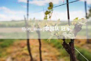 柳州中国队 冠军