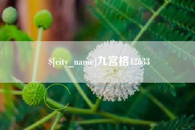 柳州九宫格42633
