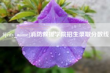 柳州消防救援学院招生录取分数线