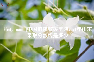 柳州中国消防救援学院2021年山东录取分数线是多少