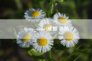 柳州成都 消防