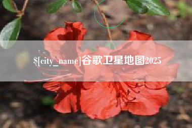 柳州谷歌卫星地图2025