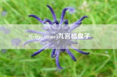 柳州九宫格盘子