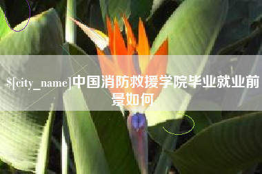 柳州中国消防救援学院毕业就业前景如何