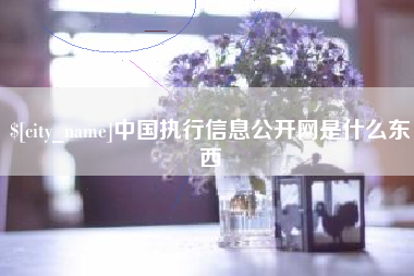 柳州中国执行信息公开网是什么东西