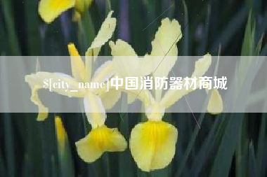 柳州中国消防器材商城