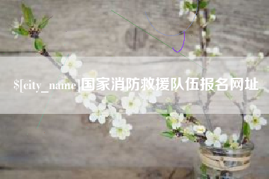 柳州国家消防救援队伍报名网址