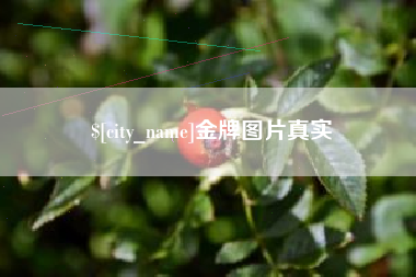 柳州金牌图片真实