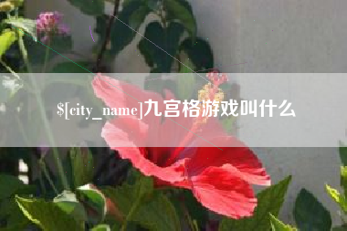 柳州九宫格游戏叫什么