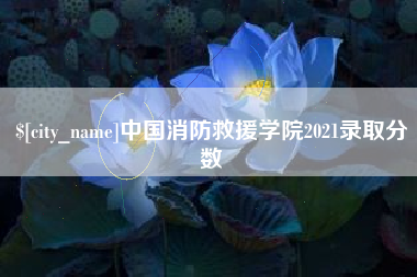 柳州中国消防救援学院2021录取分数