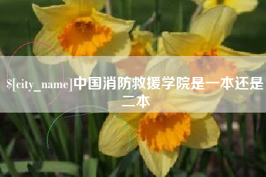 柳州中国消防救援学院是一本还是二本