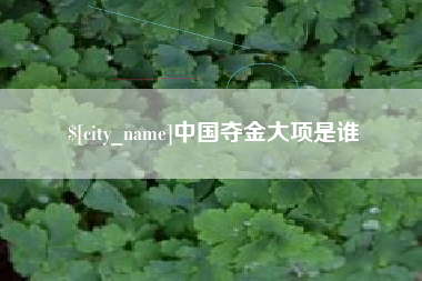 柳州中国夺金大项是谁