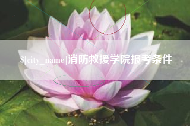 柳州消防救援学院报考条件